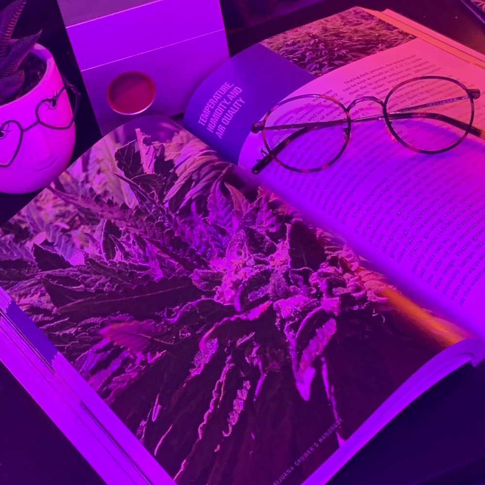Oliver Peoples - Carling